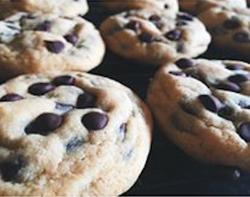 13592159_3305567553485_6385756822538254995_n