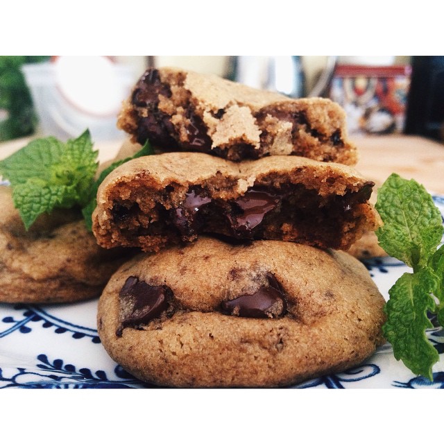 10592971_2551789629508_7379326163592783273_n