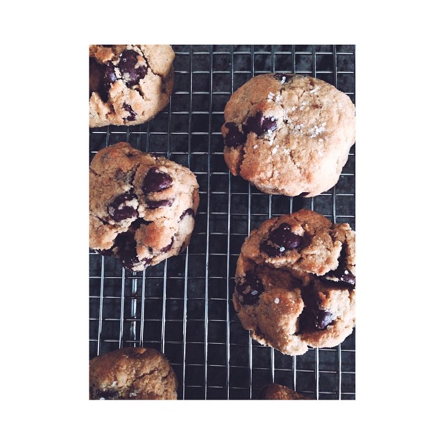 11036539_2843761488622_4877986531692363426_n